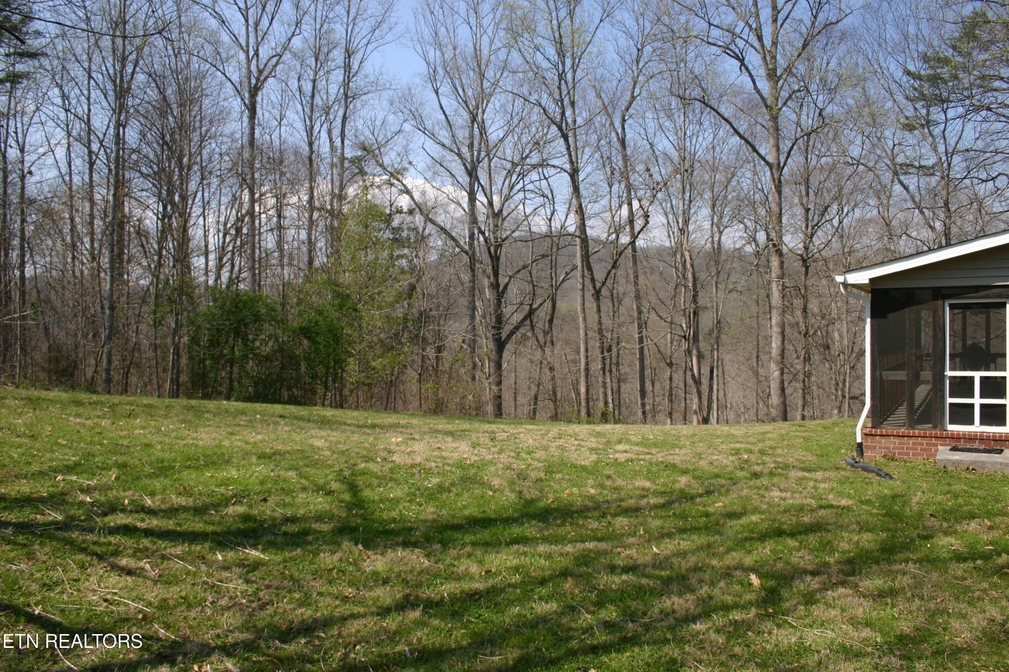 163 Upper Clear Creek Road Andersonville, TN 37705 - Photo 14 of 15 a big yard with trees