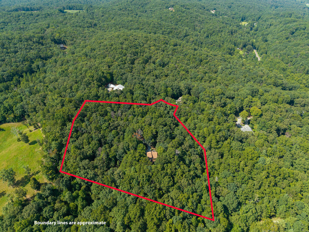 358 North Ridge Drive Ellijay, GA 30540 - Photo 52 of 57 Gallery Image 52