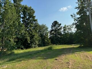 1 Thompson Road Bunnlevel, NC 28323 - Photo 14 of 14 IMG_3788