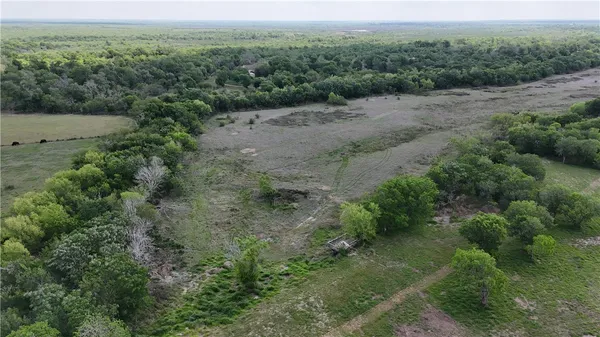 an aerial view of forest