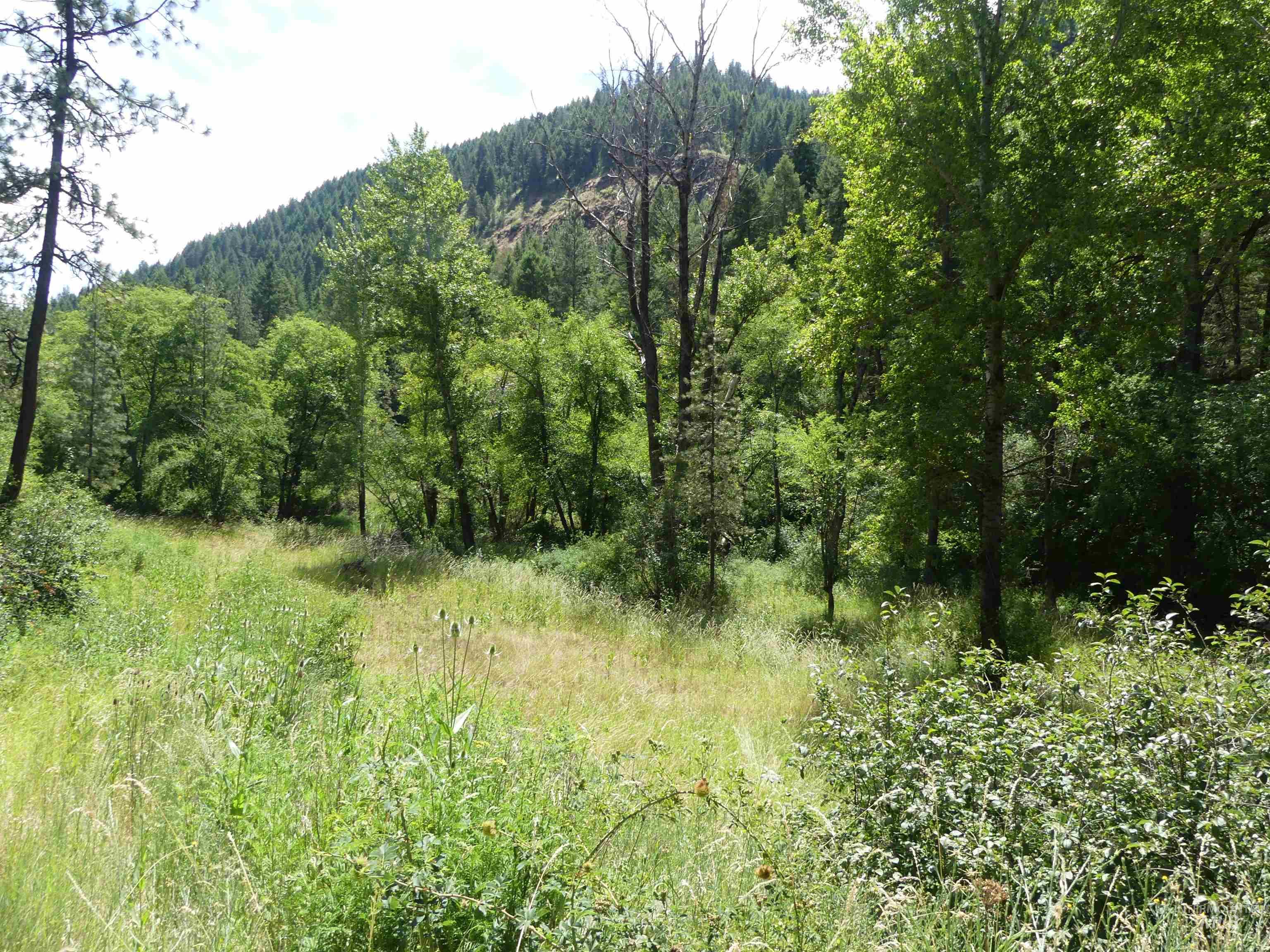 46601 Little Canyon Road Orofino, ID 83544 - Photo 38 of 46