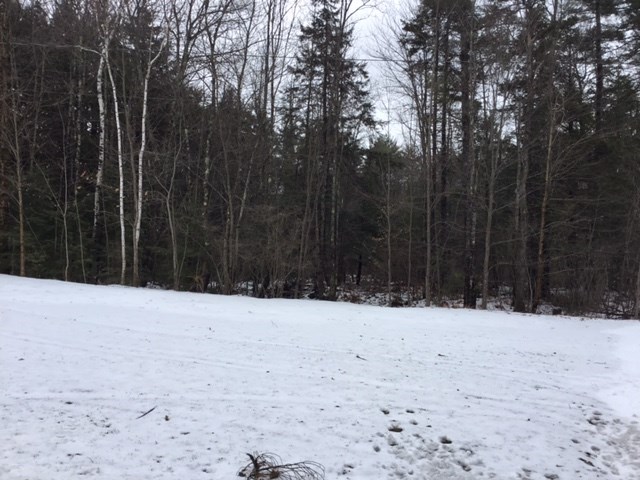 34 Fitzgerald Road, Unit B Rindge, NH 03461 - Photo 23 of 30