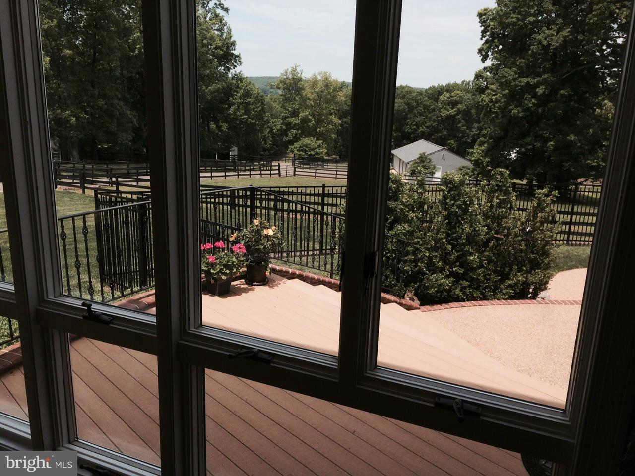 6200 Evergreen Mountain Road Broad Run, VA 20137 - Photo 17 of 29 View from window