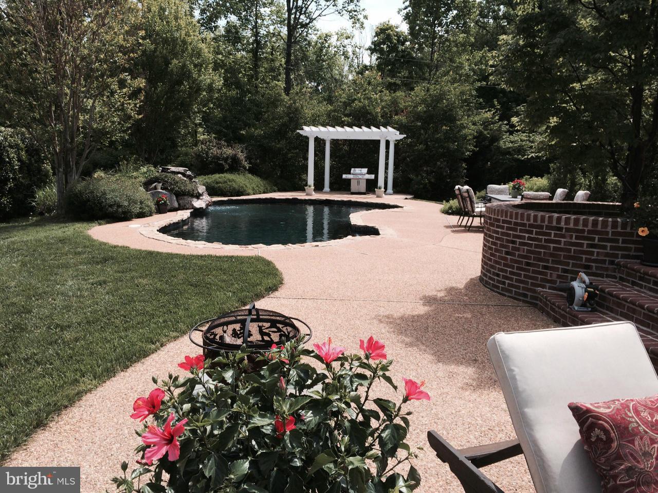 6200 Evergreen Mountain Road Broad Run, VA 20137 - Photo 3 of 29 Patio and pool