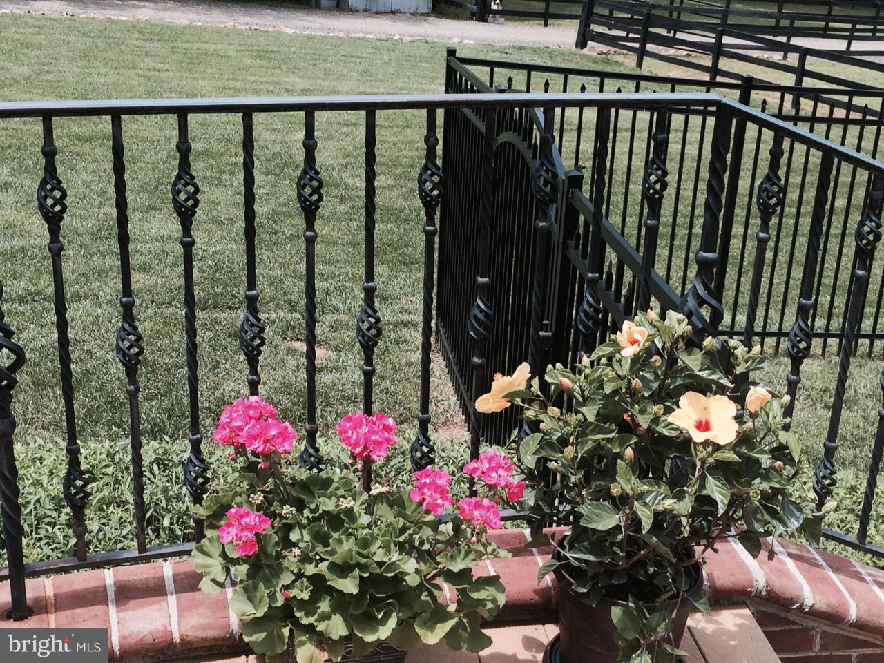 6200 Evergreen Mountain Road Broad Run, VA 20137 - Photo 23 of 29 Tarrece with wrought iron railing