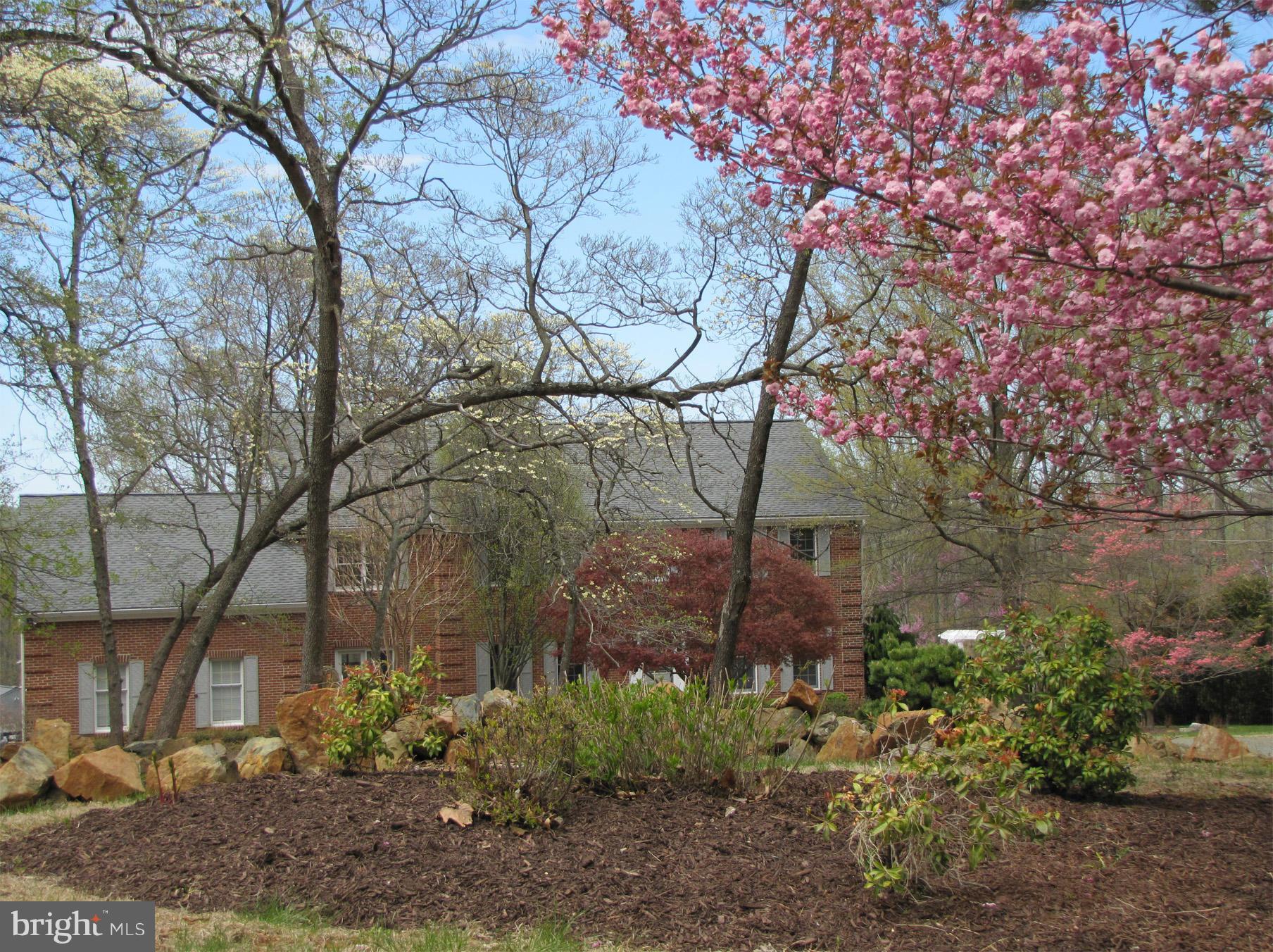 6200 Evergreen Mountain Road Broad Run, VA 20137 - Photo 24 of 29 Front plantings