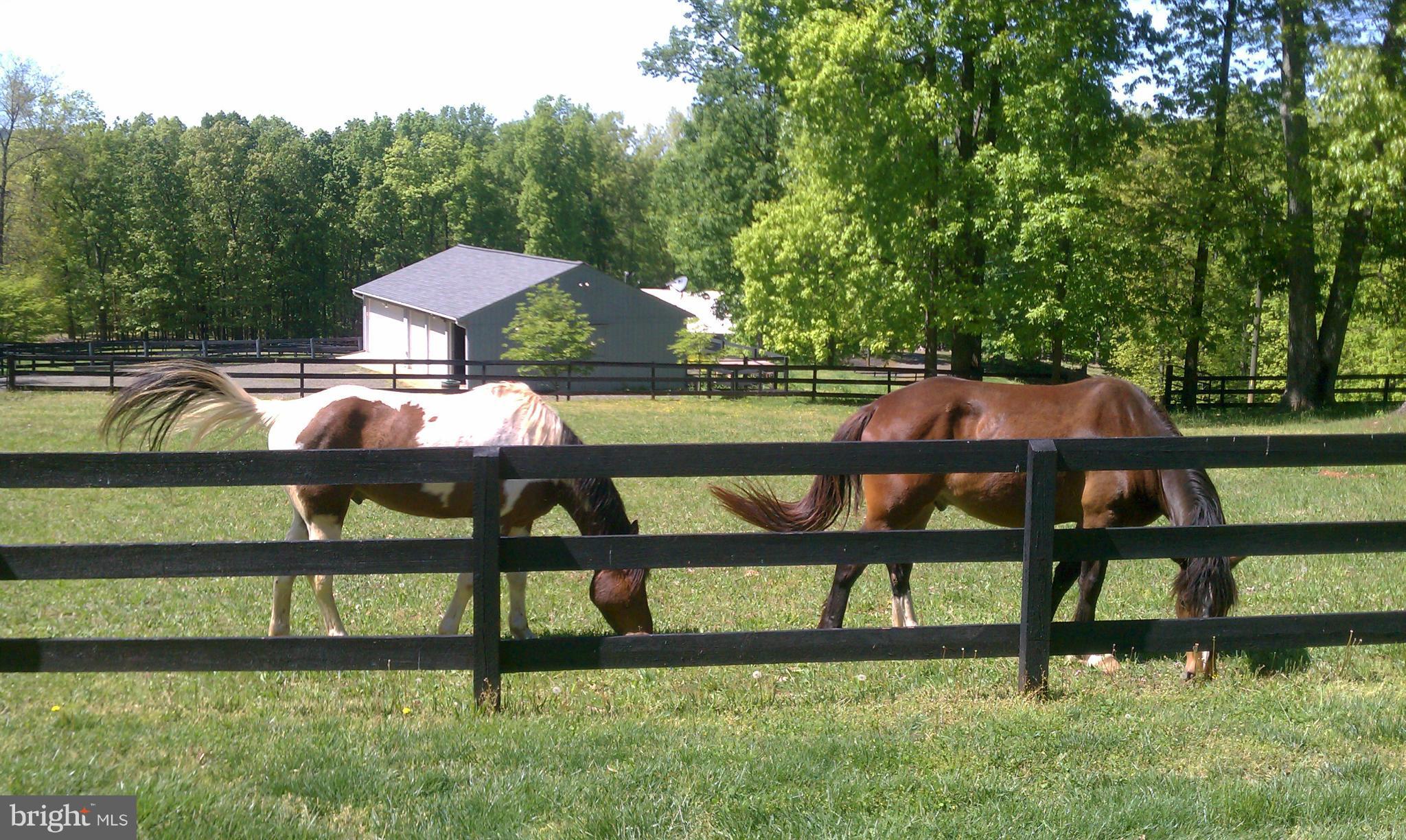6200 Evergreen Mountain Road Broad Run, VA 20137 - Photo 26 of 29 Board fenced pasture