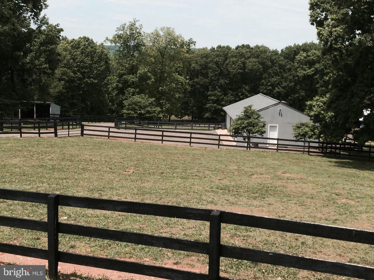 6200 Evergreen Mountain Road Broad Run, VA 20137 - Photo 29 of 29 Paddock and machine shed