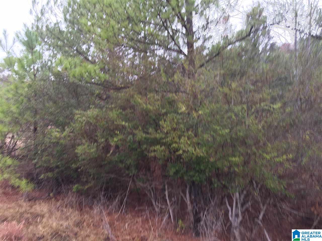 Old Choccolocco Road, Unit 97 Weaver, AL 36277 - Photo 27 of 27