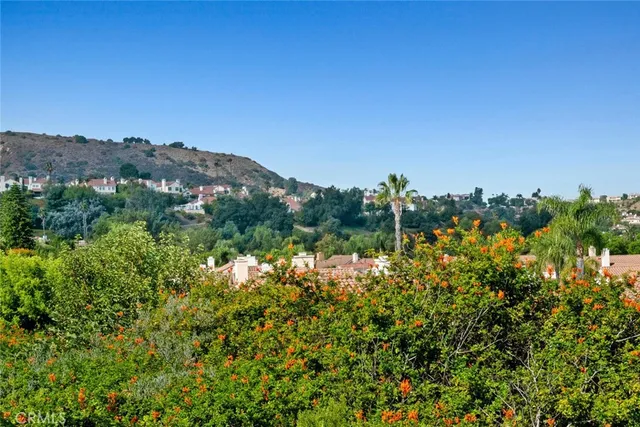 a view of a city with a mountain in the background