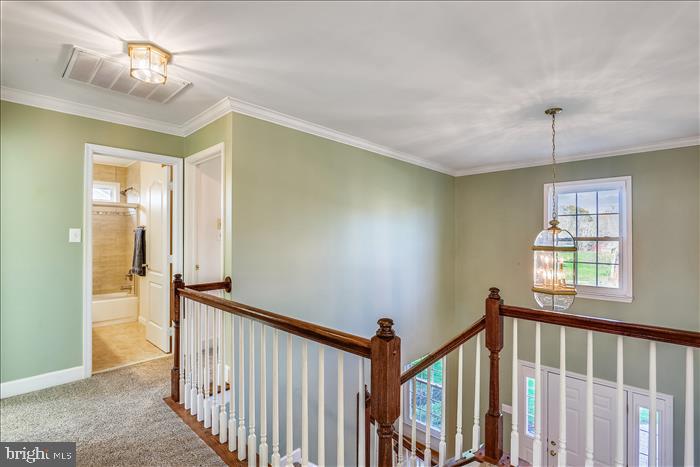 17818 Dr Walling Road Poolesville, MD 20837 - Photo 42 of 128 Upstairs Foyer and Hallway