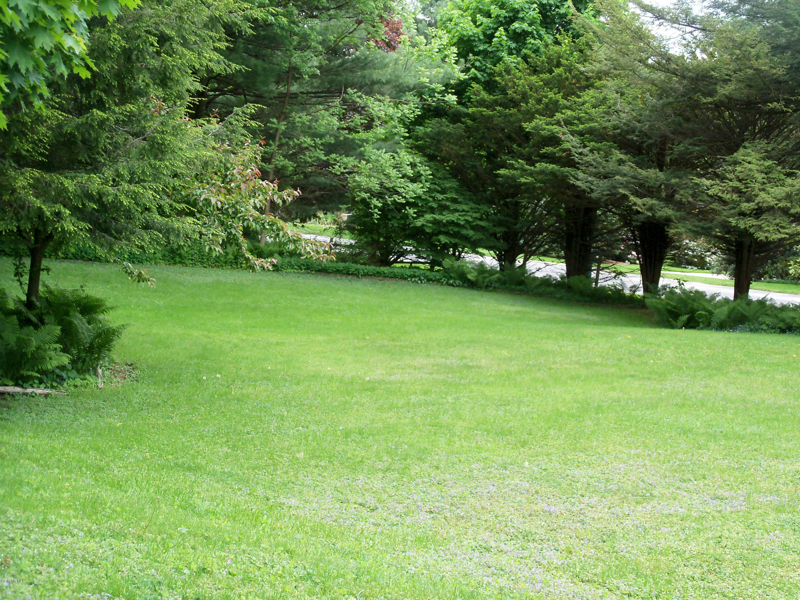 275 Holmes Road Pittsfield, MA 01201 - Photo 40 of 41 275 holmes side yard - Copy