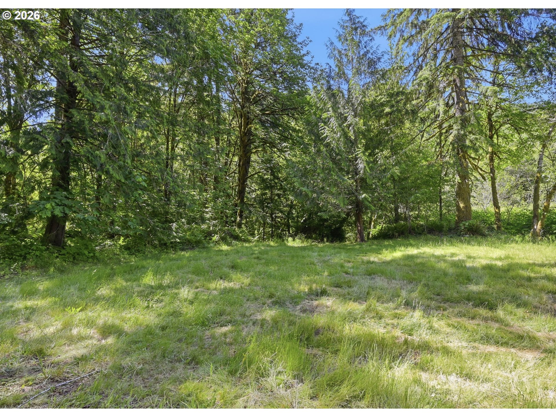 91984 Nelson Mountain Road Deadwood, OR 97430 - Photo 29 of 39