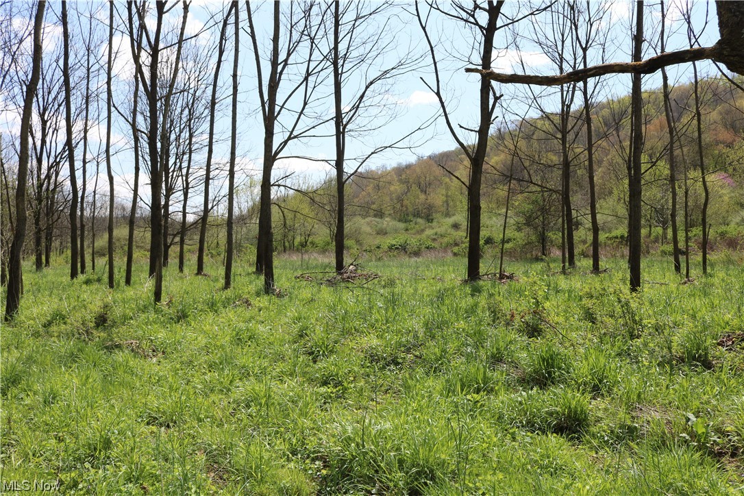 Hootowl Ridge Road Caldwell, OH 43724 - Photo 23 of 30 Gallery Image 23