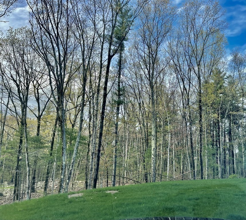 21 Gibbs Road Berlin, MA 01503 - Photo 25 of 29 a view of outdoor space with a garden