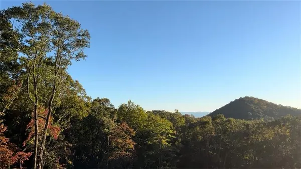 a view of a house with a mountain and a forest