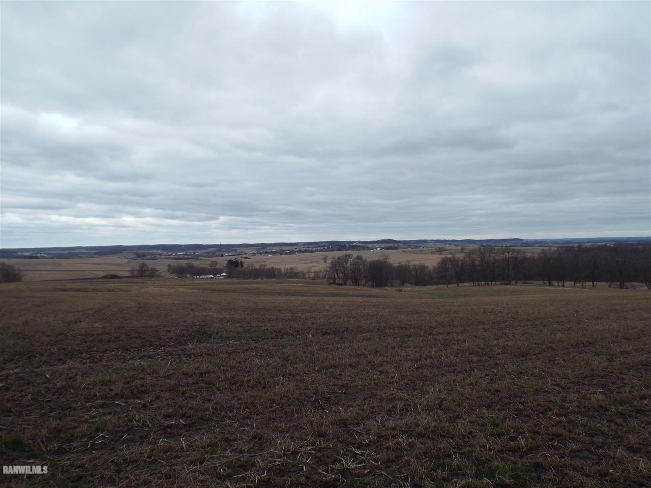 West Charles Road Scales Mound, IL 61075 - Photo 1 of 9 Gallery Image 1