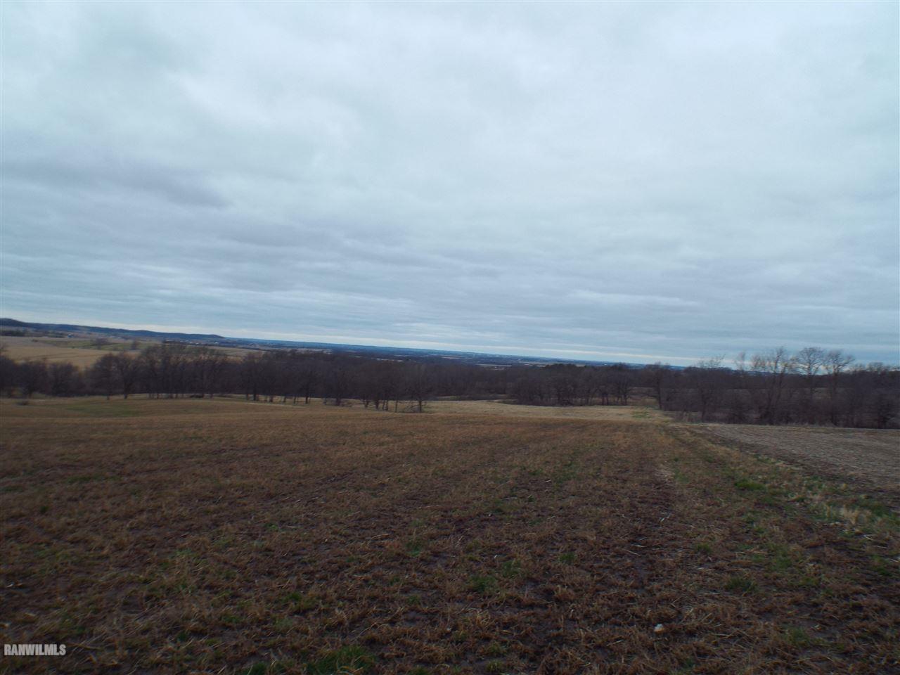 West Charles Road Scales Mound, IL 61075 - Photo 2 of 9 Gallery Image 2