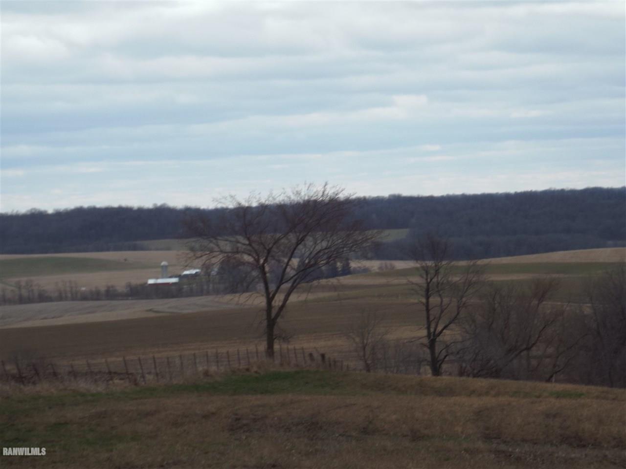 West Charles Road Scales Mound, IL 61075 - Photo 5 of 9 Gallery Image 5