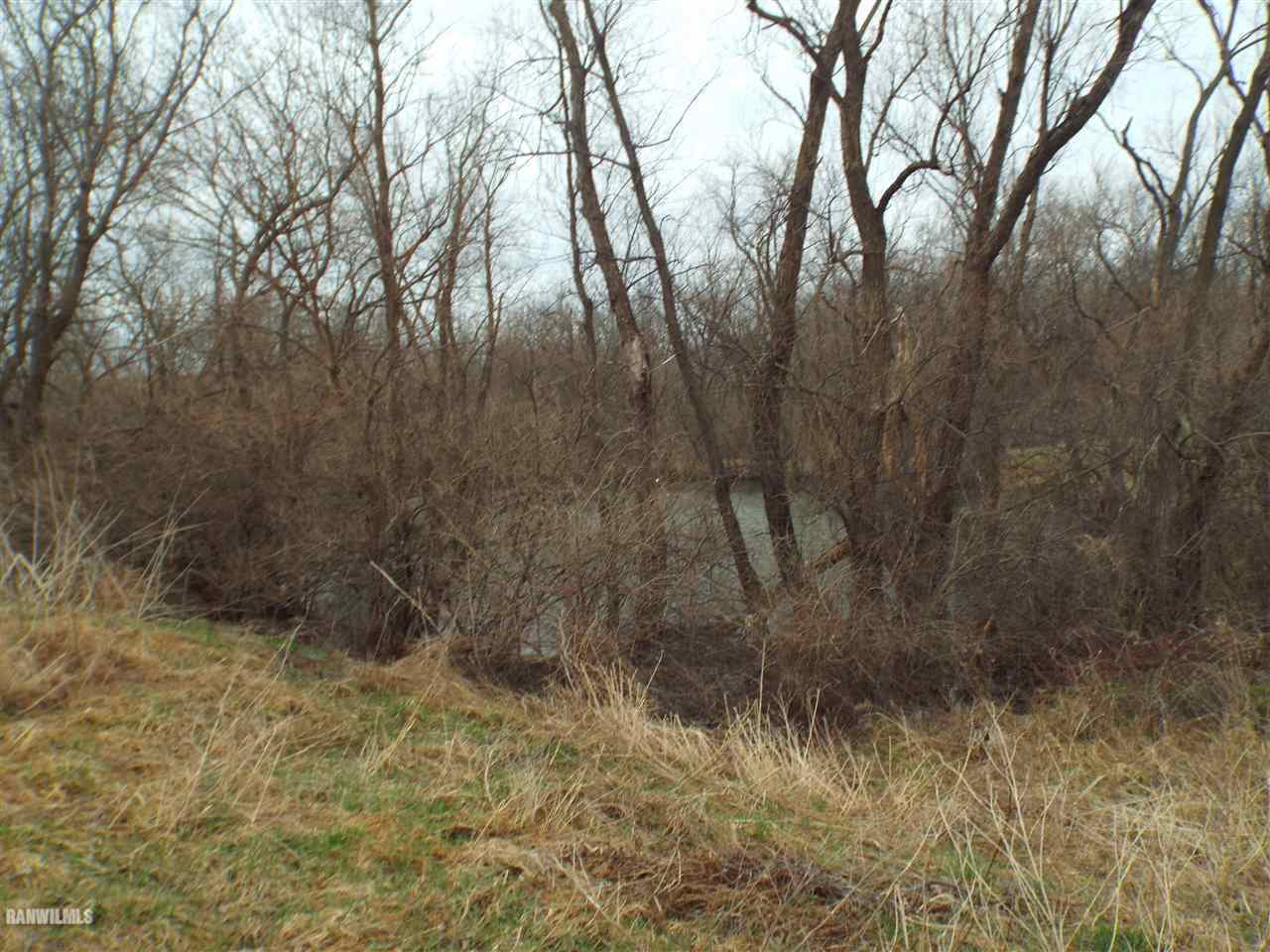 West Charles Road Scales Mound, IL 61075 - Photo 7 of 9 Gallery Image 7