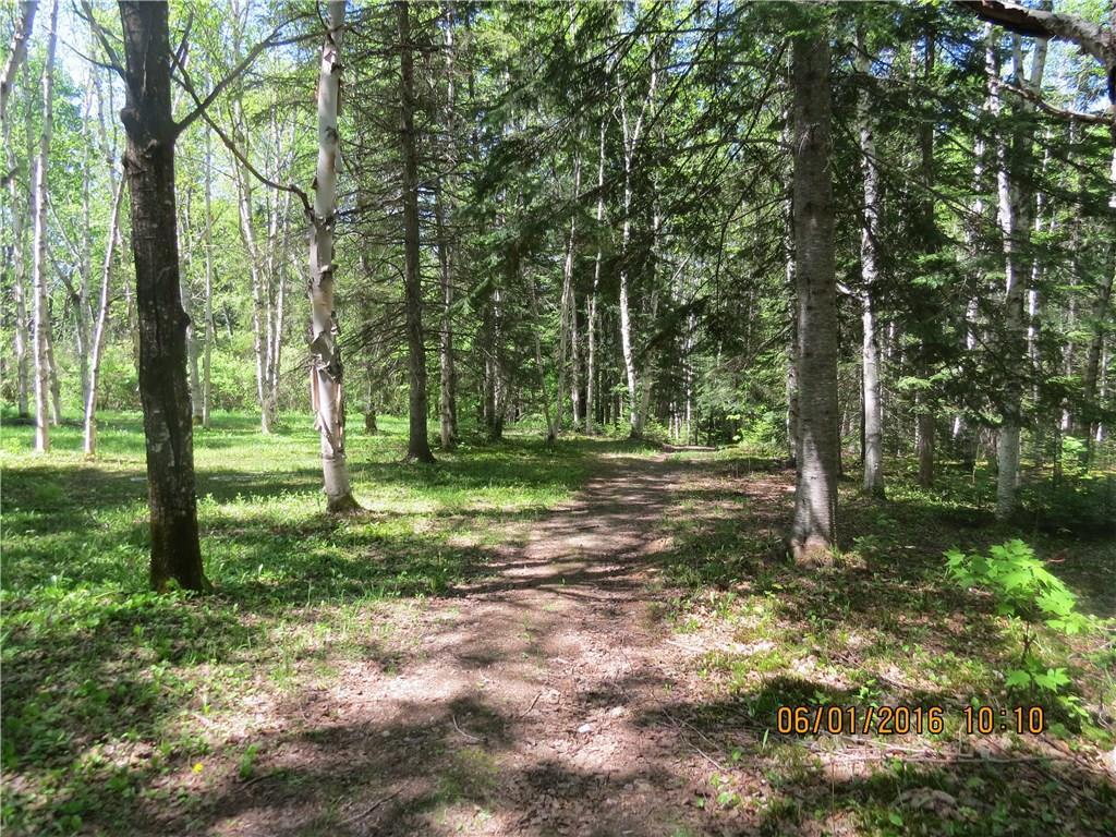 549 Strip Road Wallagrass, ME 04781 - Photo 29 of 31 Photo