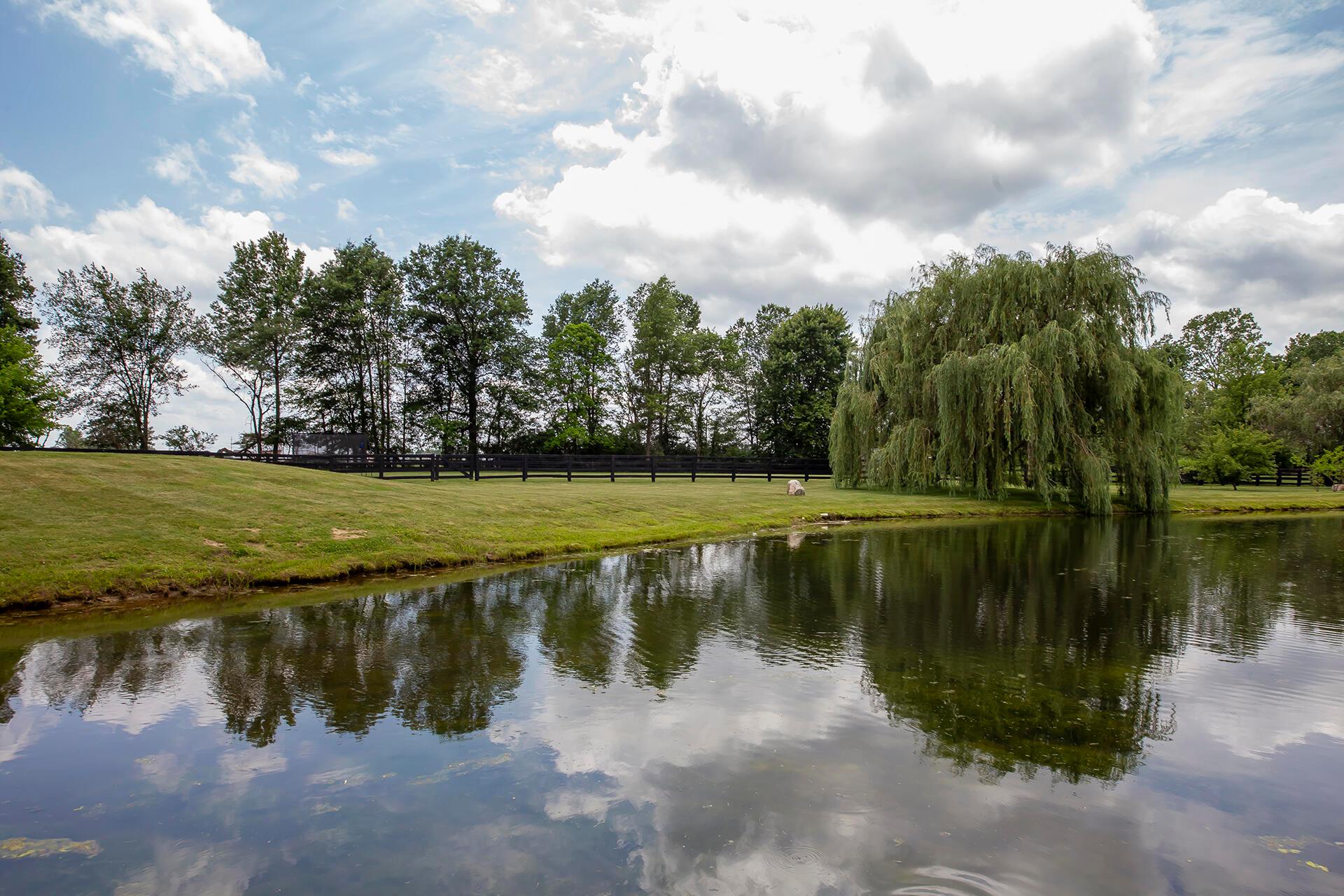1176 Dale Ford Road Delaware, OH 43015 - Photo 63 of 77 63 Pond