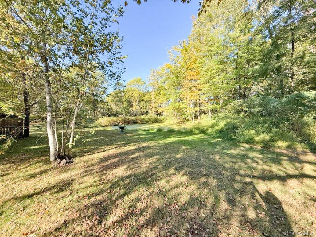 4 Plains Road Walden, NY 12586 - Photo 9 of 31 a view of a yard with trees