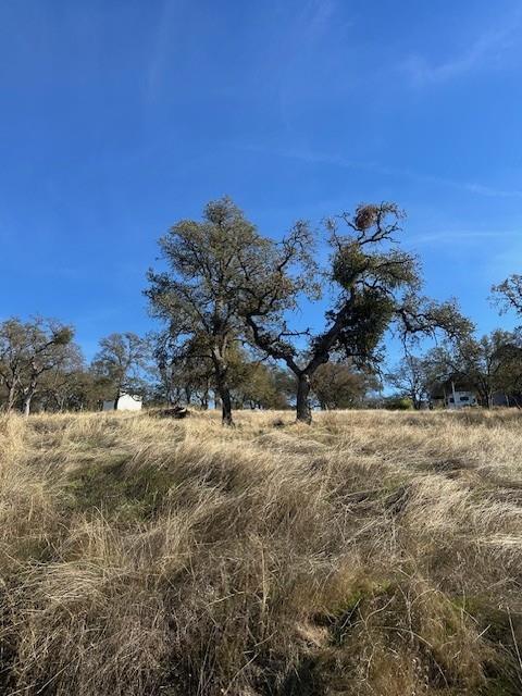3930 Dunn Road Valley Springs, CA 95252 - Photo 3 of 5 a view of a dry yard