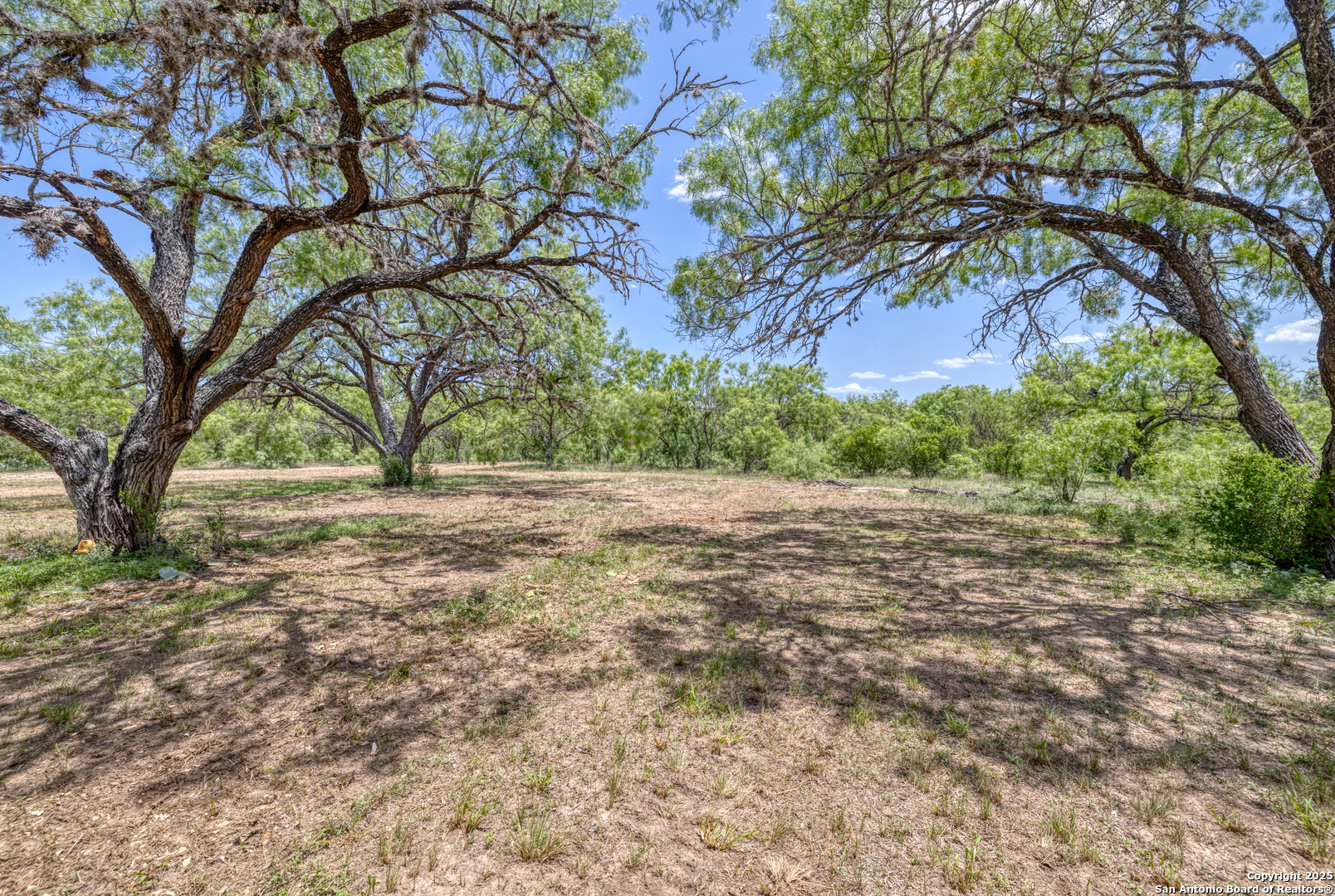 a view of dirt yard with a tree