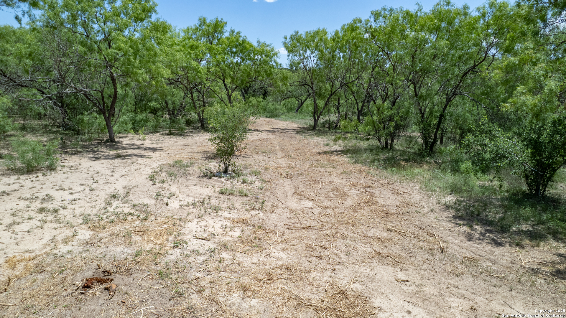405 Ridge Loop Rio Frio, TX 78879 - Photo 30 of 32 a view of a forest with trees in the background