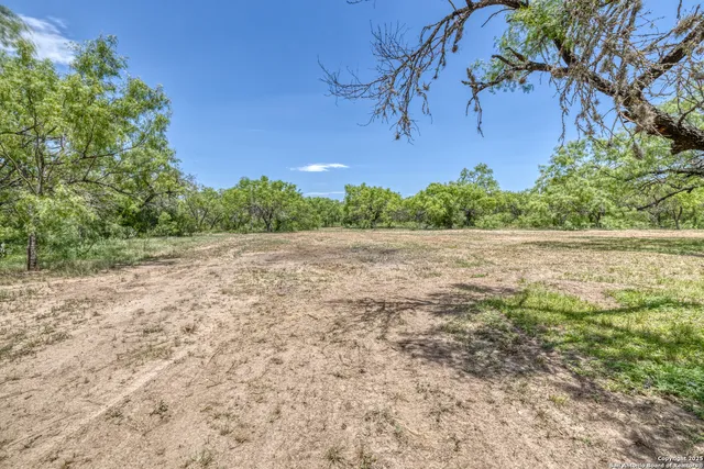 a view of a yard with an tree
