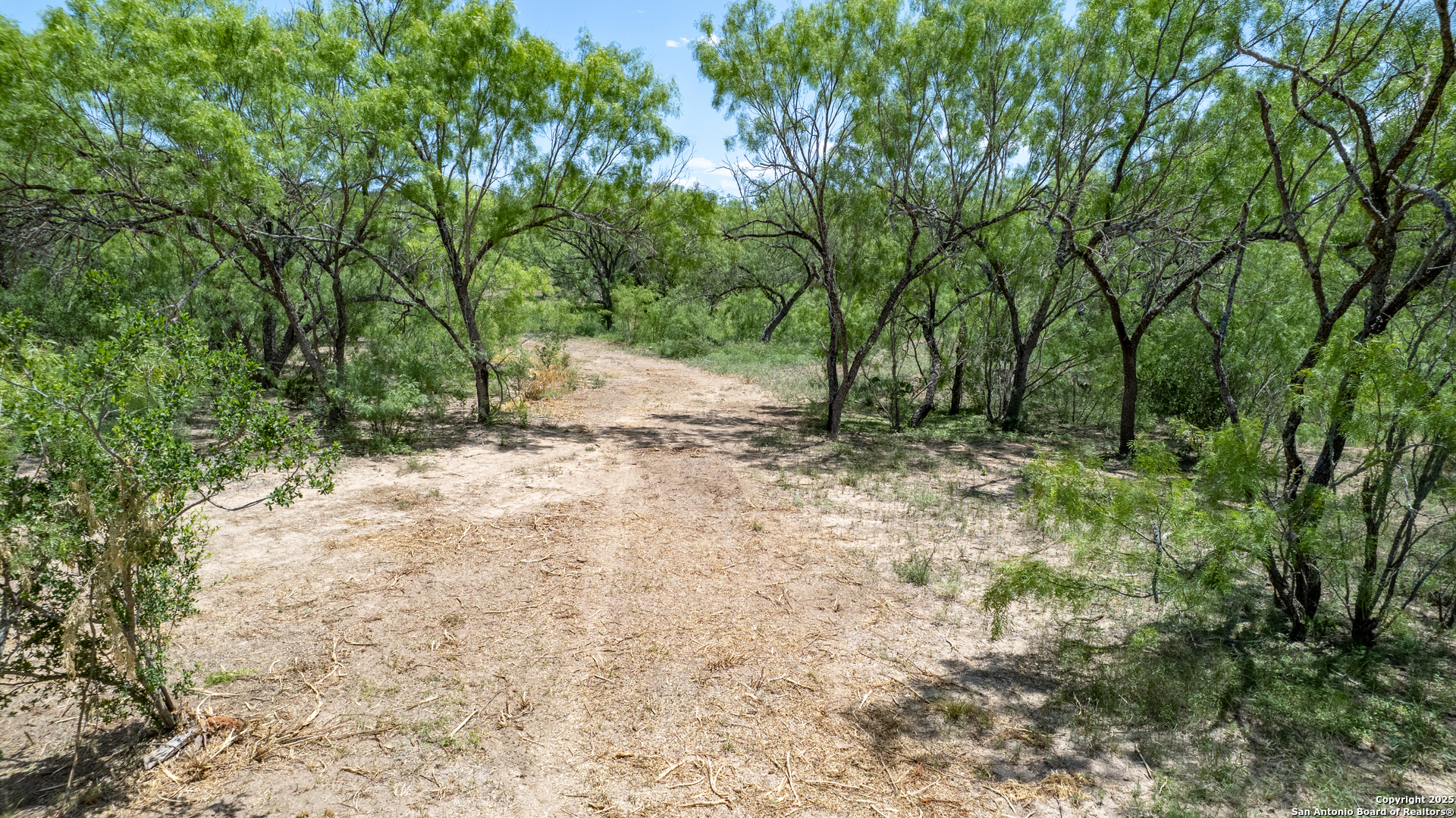 405 Ridge Loop Rio Frio, TX 78879 - Photo 31 of 32 a view of a yard with plants and trees