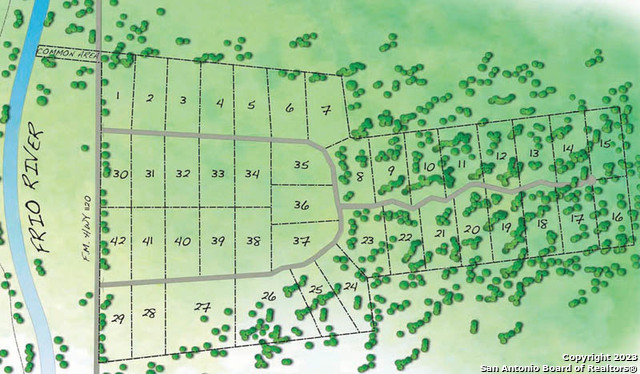 405 Ridge Loop Rio Frio, TX 78879 - Photo 32 of 32 a view of a bunch of flowers
