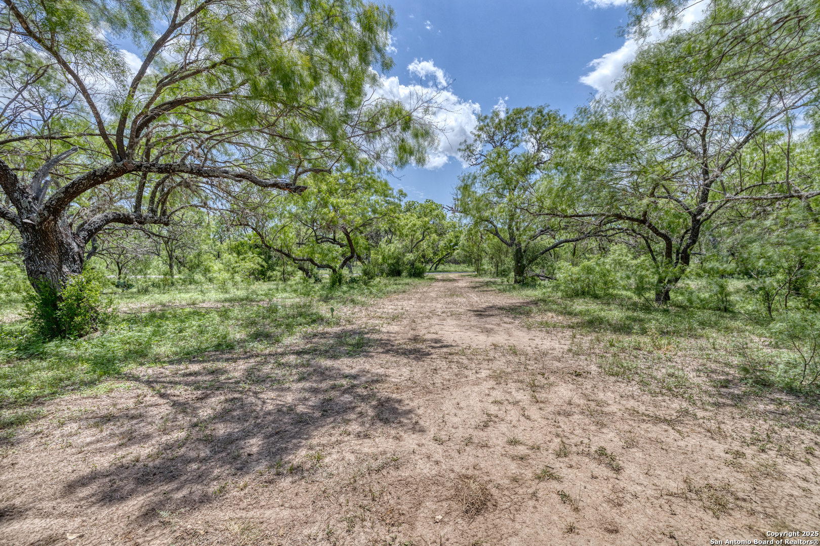 405 Ridge Loop Rio Frio, TX 78879 - Photo 4 of 32 a view of a yard with plants and trees
