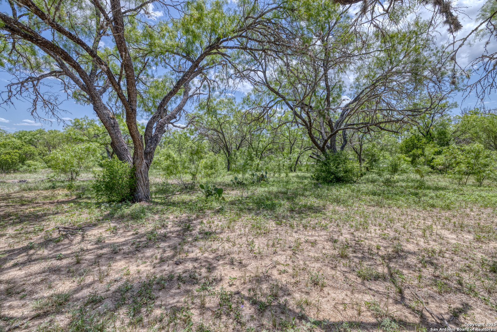 405 Ridge Loop Rio Frio, TX 78879 - Photo 5 of 32 a view of a yard with a tree
