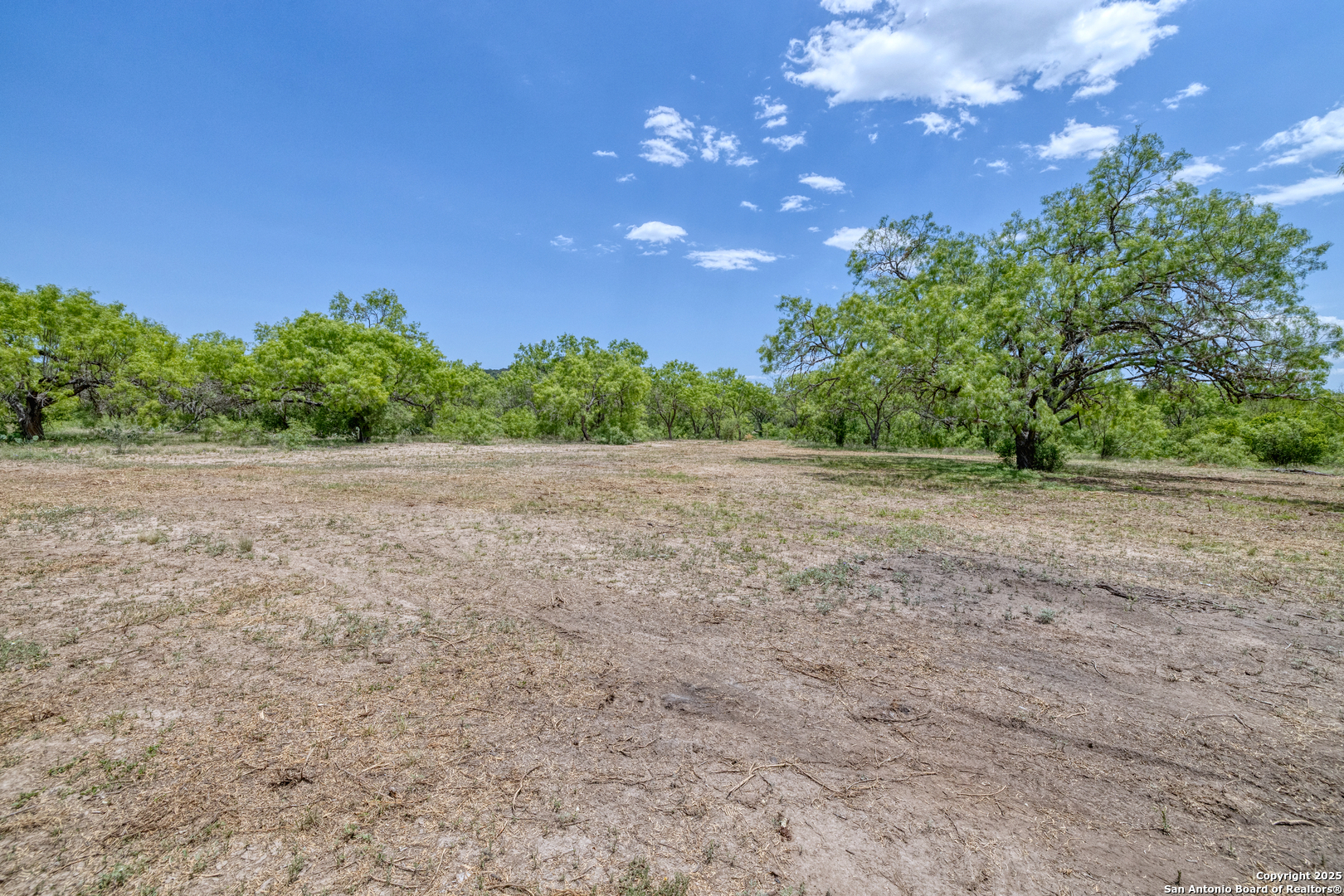 405 Ridge Loop Rio Frio, TX 78879 - Photo 6 of 32 a view of a plants with yard