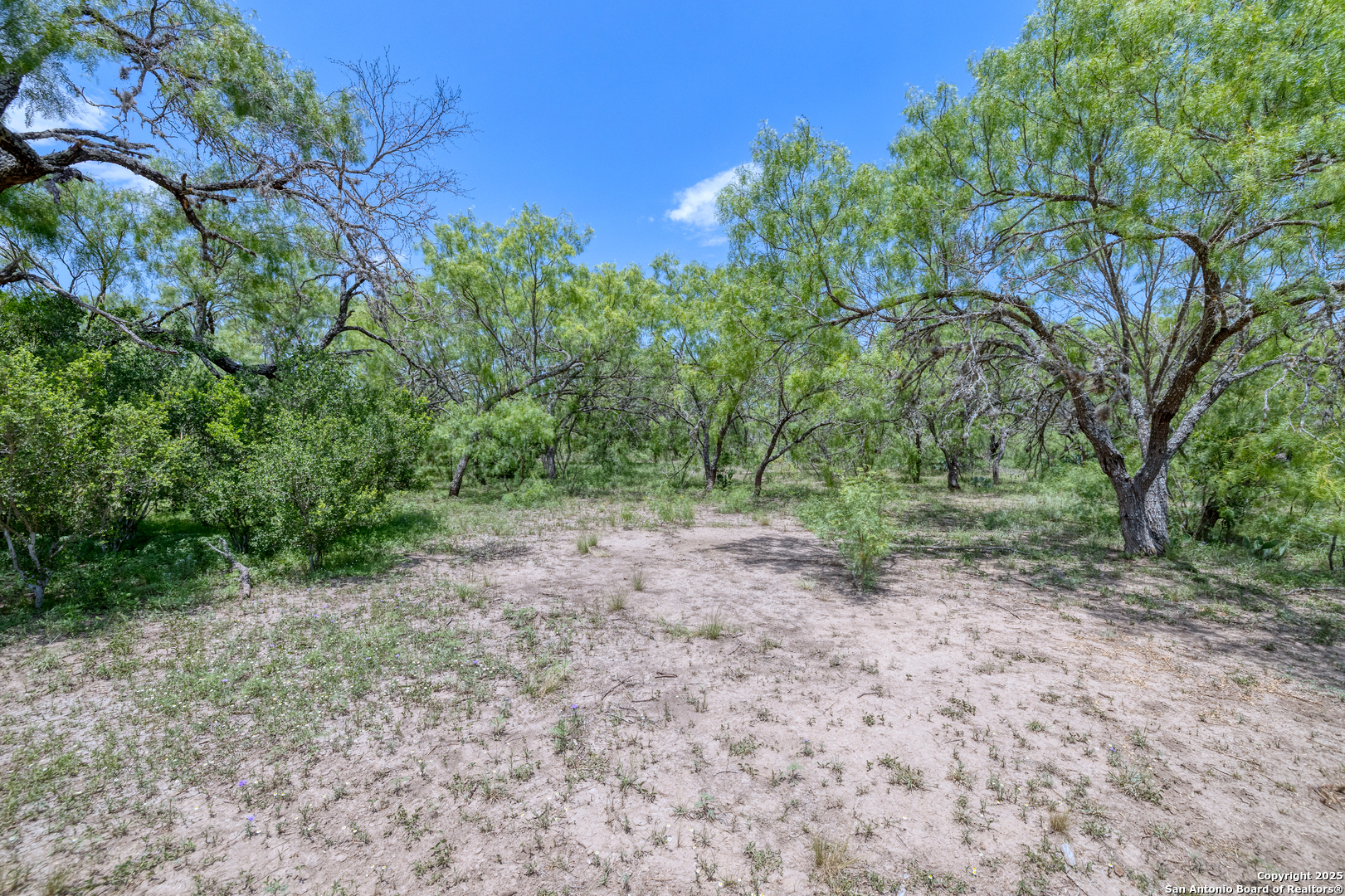 405 Ridge Loop Rio Frio, TX 78879 - Photo 7 of 32 a view of a forest with trees in the background