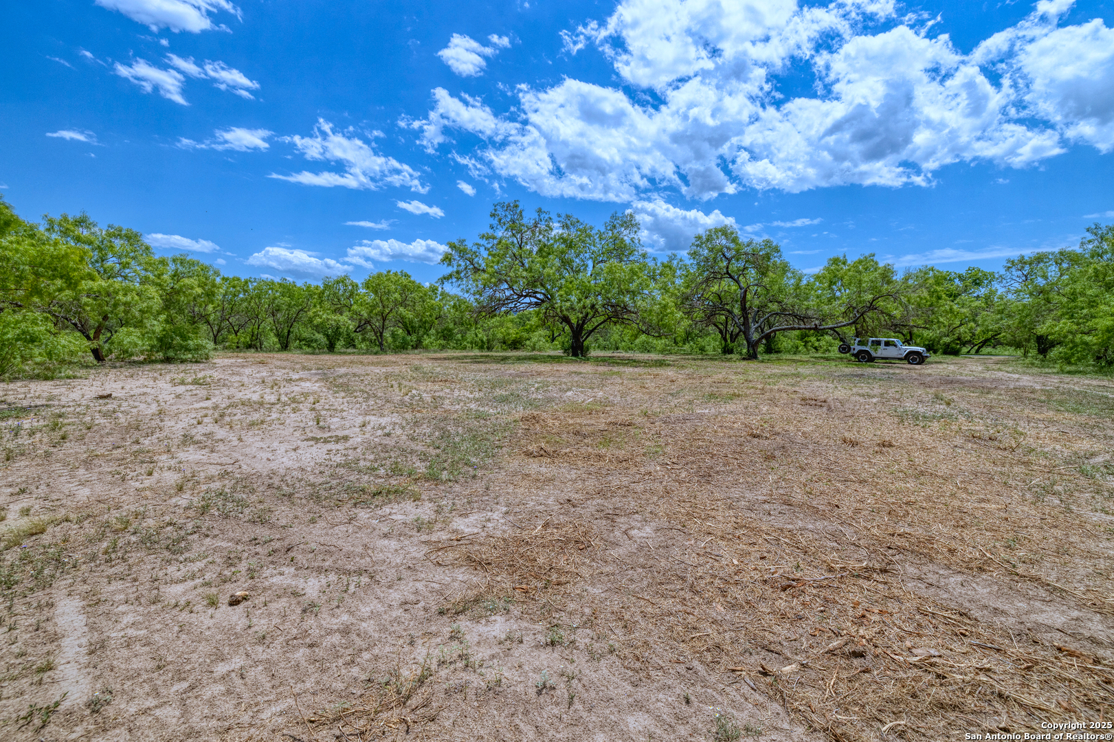 405 Ridge Loop Rio Frio, TX 78879 - Photo 9 of 32 a view of a field with trees in the background