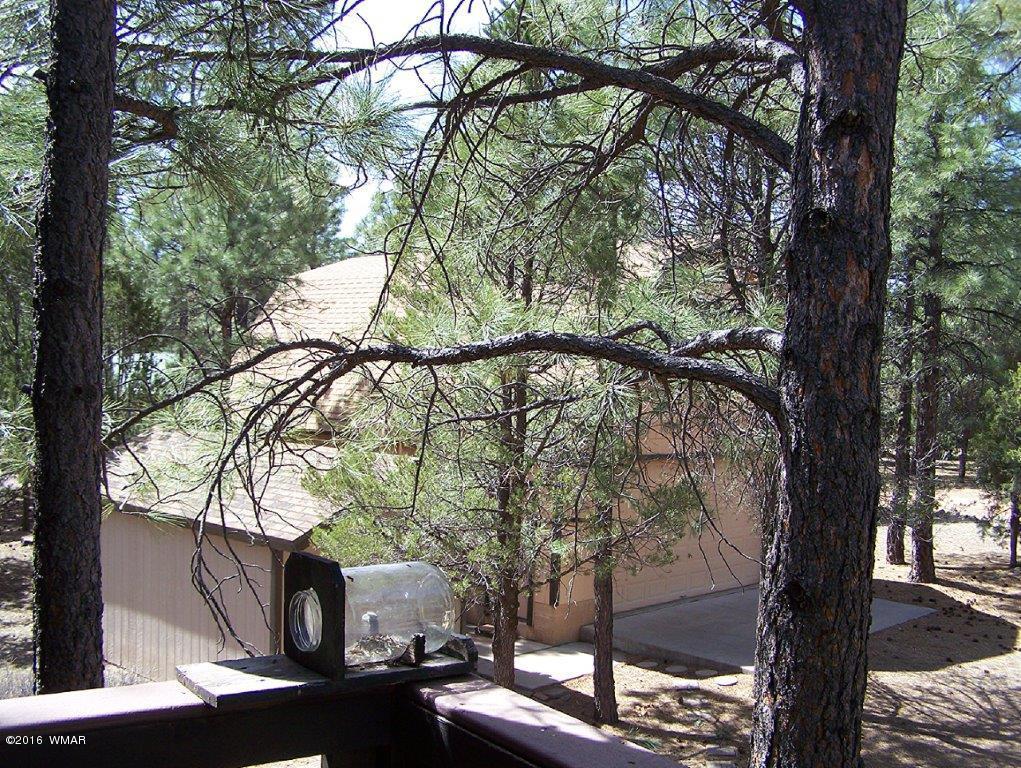 3156 Chevelon Road Overgaard, AZ 85933 - Photo 26 of 46 a picture of trees