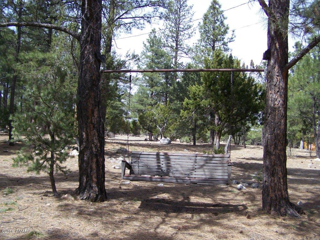 3156 Chevelon Road Overgaard, AZ 85933 - Photo 30 of 46 a view of a yard with a tree