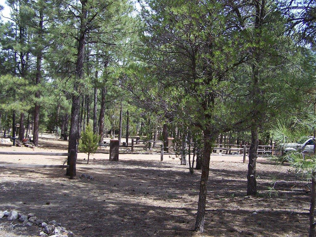 3156 Chevelon Road Overgaard, AZ 85933 - Photo 31 of 46 a view of road with trees