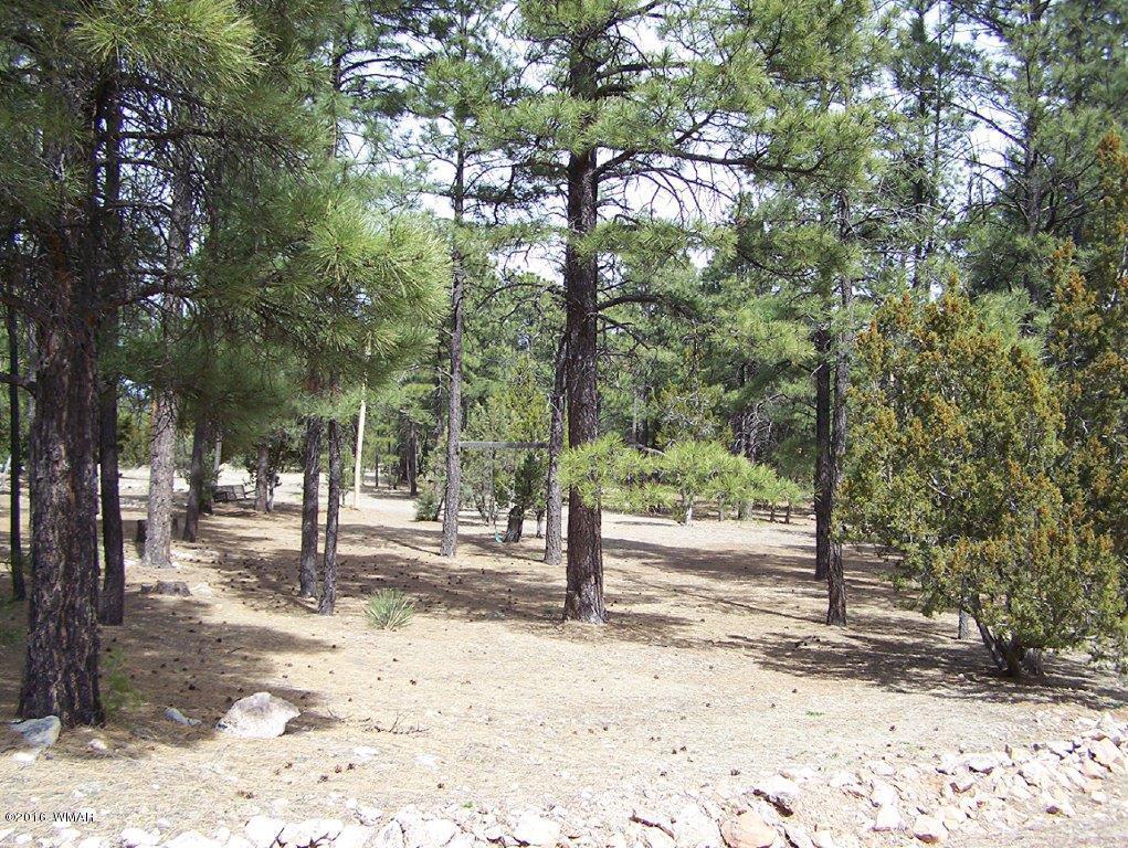 3156 Chevelon Road Overgaard, AZ 85933 - Photo 33 of 46 a view of road with trees