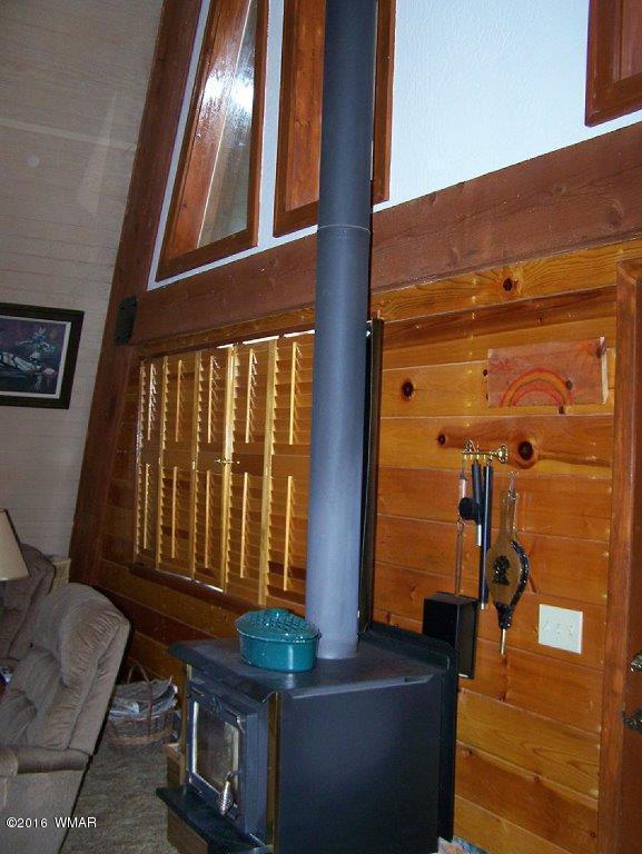 3156 Chevelon Road Overgaard, AZ 85933 - Photo 4 of 46