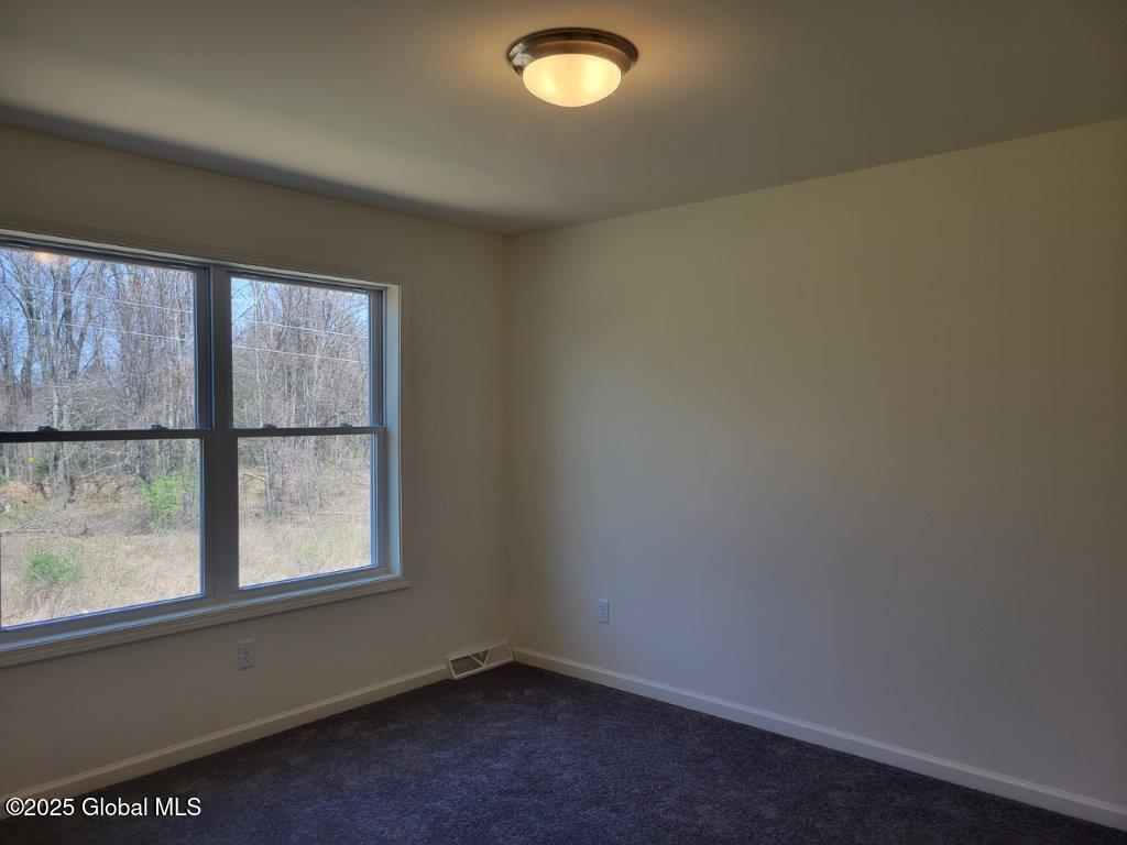 933 Ridgeview Circle Castleton-on-Hudson, NY 12033 - Photo 24 of 33 20220428_125646