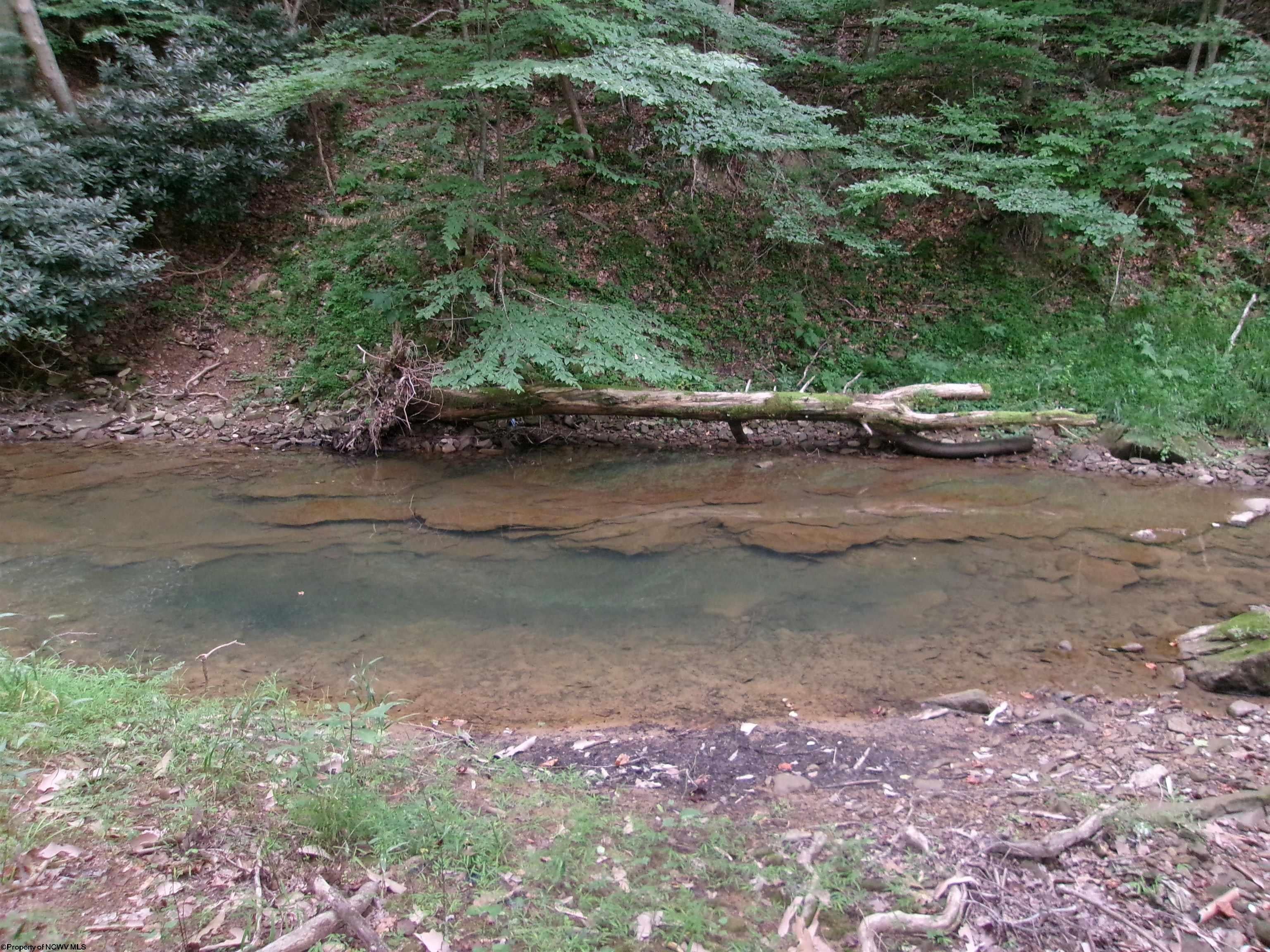 28 Line Fairmont, WV 26554 - Photo 11 of 41 Gallery Image 11