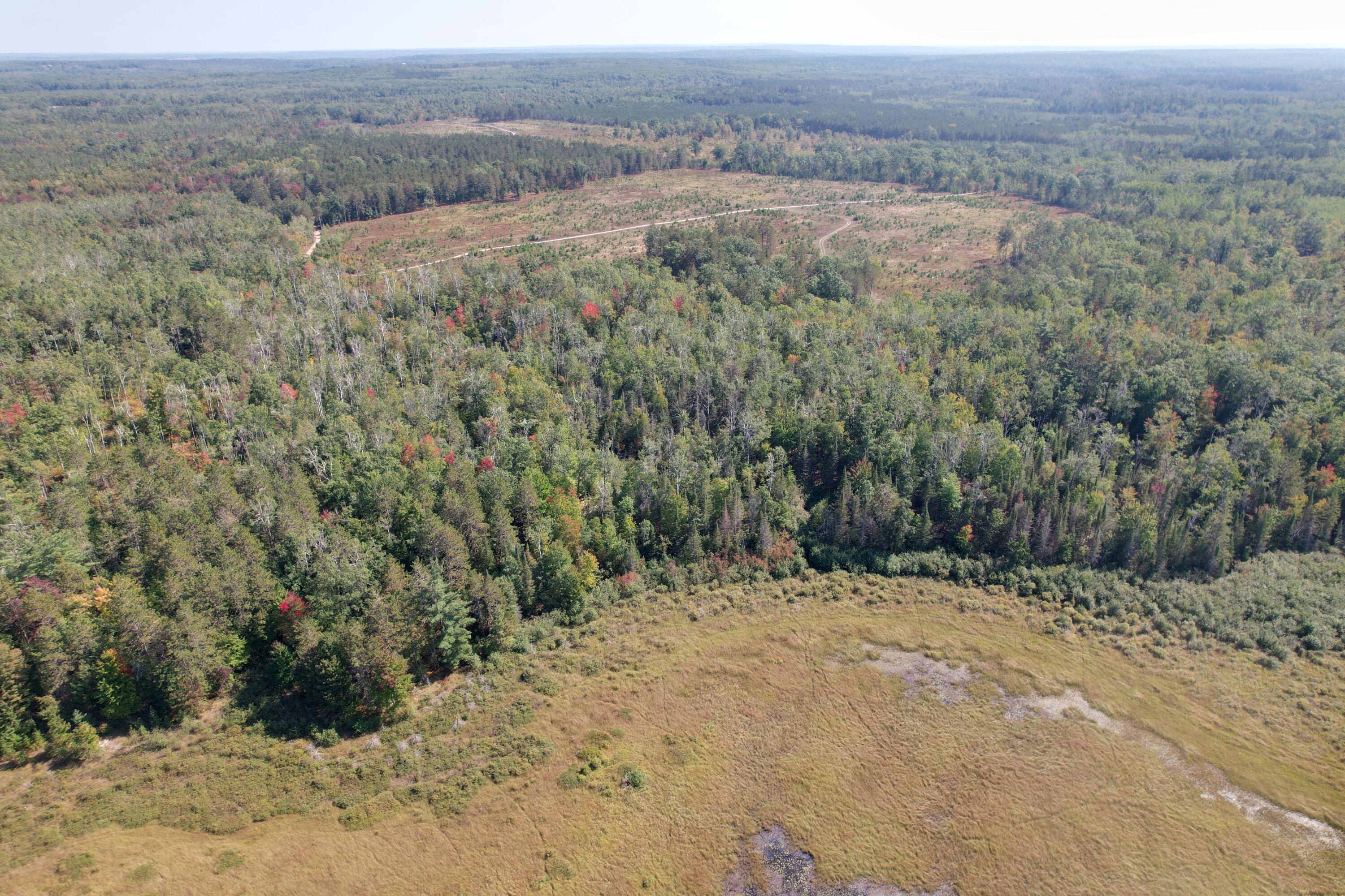 14200 Brown Road Atlanta, MI 49709 - Photo 12 of 16 dji_fly_20250917_143820_88_1758134660941