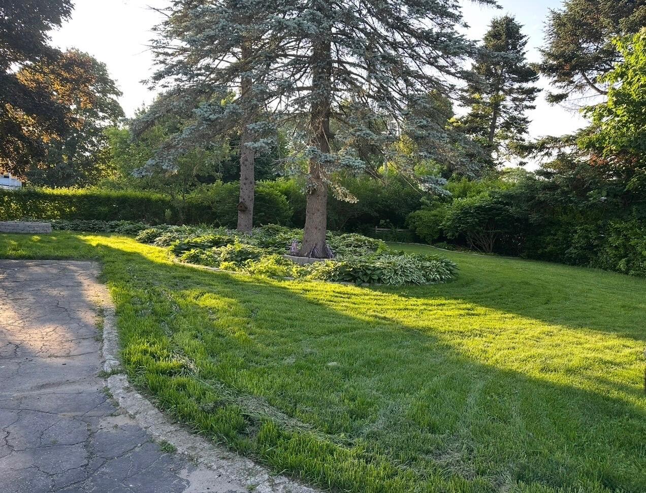 1 Williams Street Waterville, ME 04901 - Photo 59 of 60 58 Back yard view summer