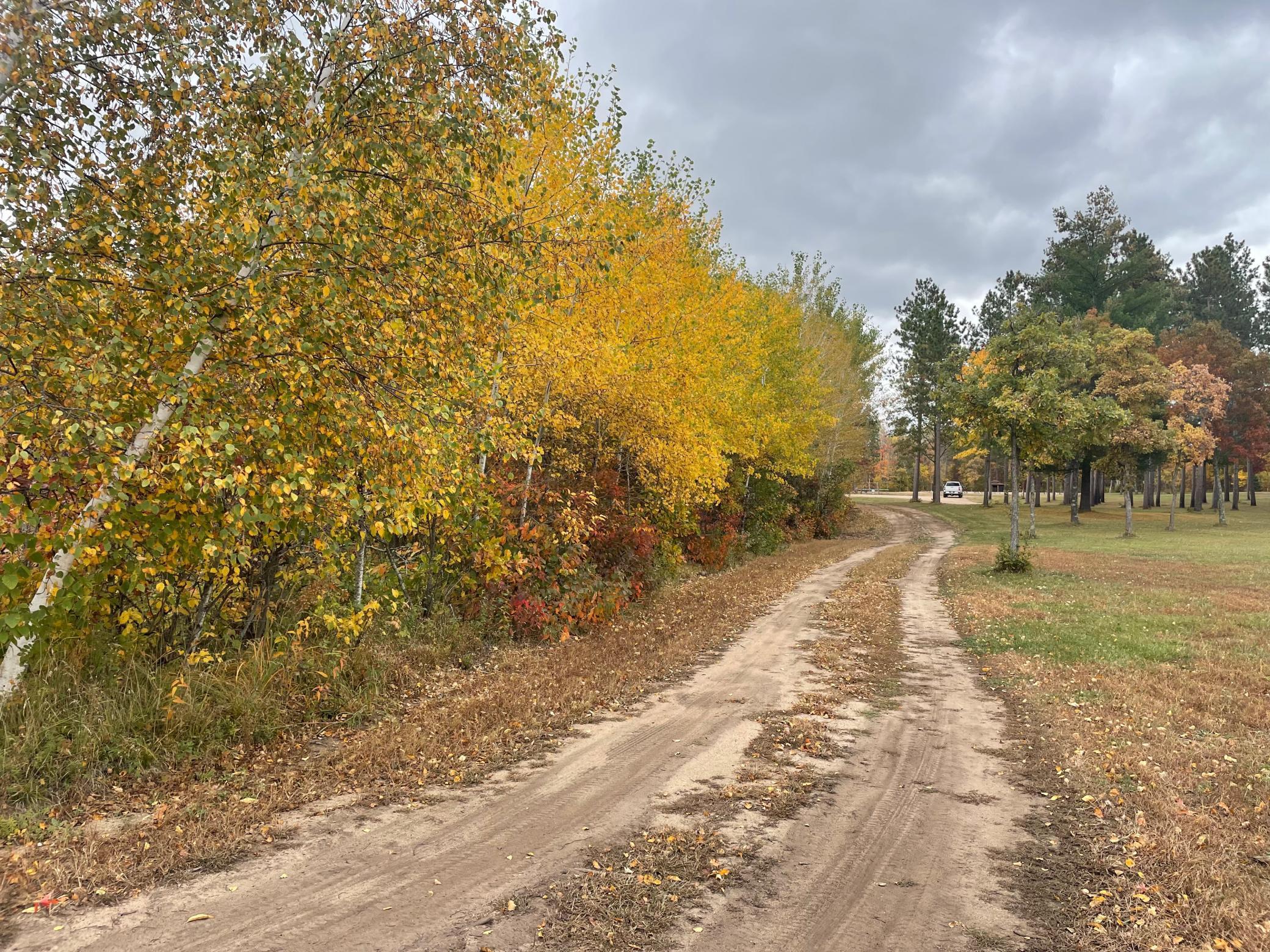 31423 Nagel Road Pequot Lakes, MN 56472 - Photo 23 of 40 Gallery Image 23