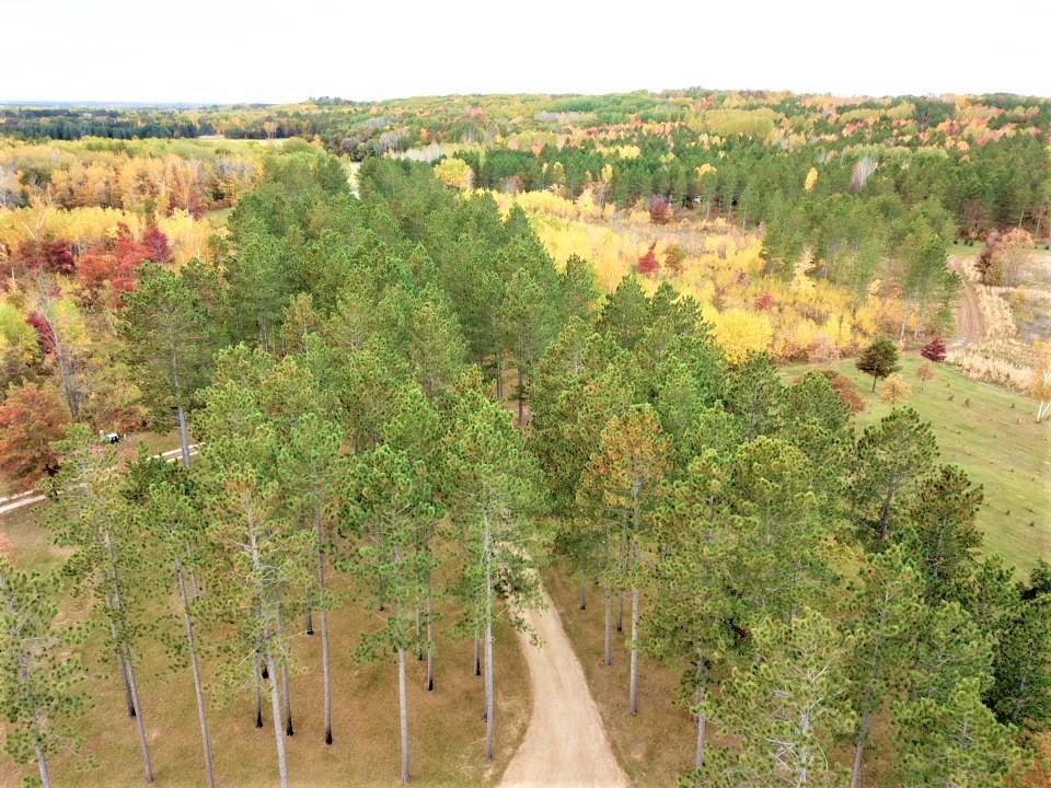31423 Nagel Road Pequot Lakes, MN 56472 - Photo 3 of 40 Gallery Image 3