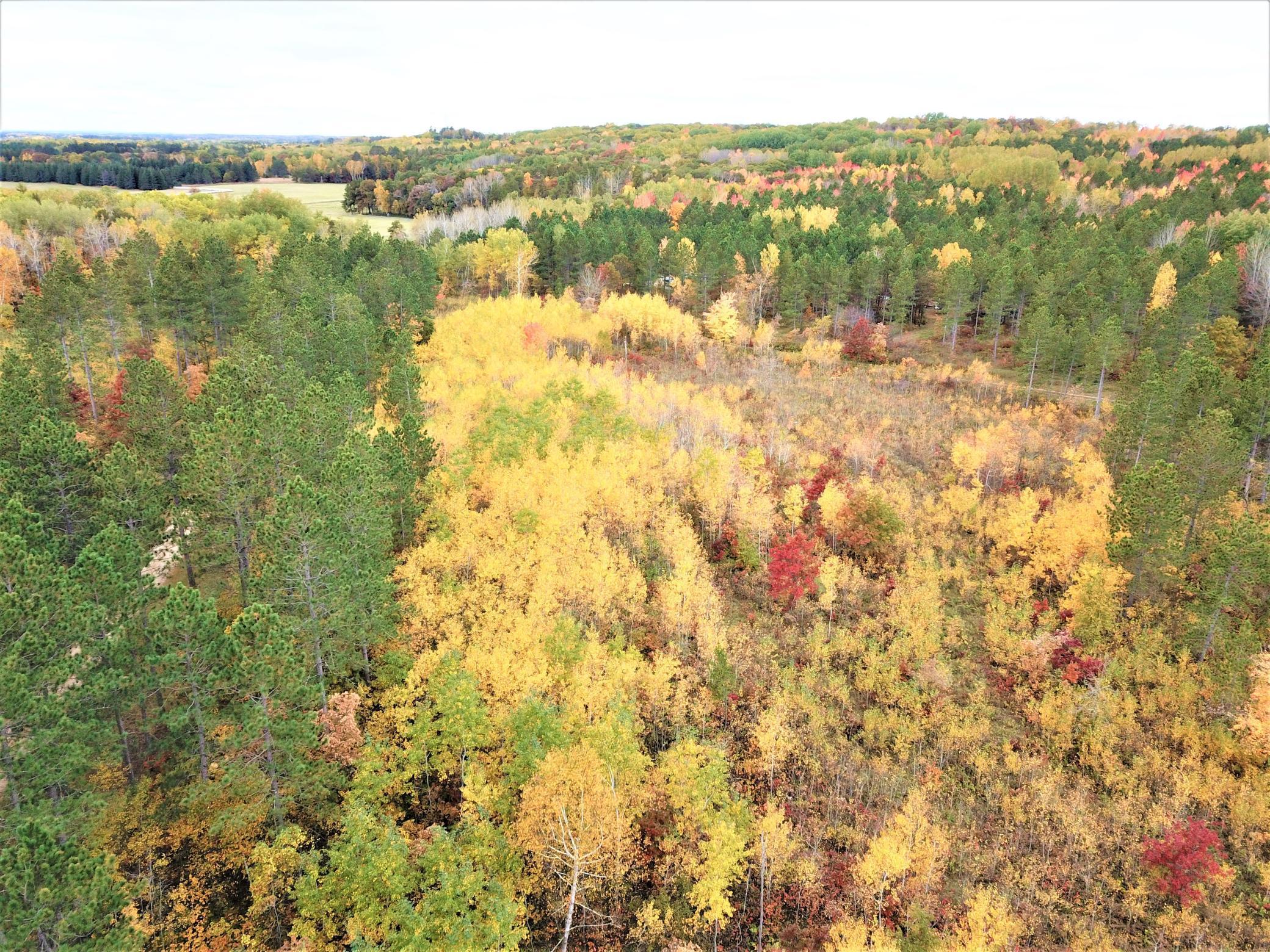 31423 Nagel Road Pequot Lakes, MN 56472 - Photo 32 of 40 Gallery Image 32